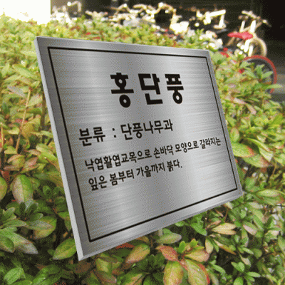 수목-스텐절곡꽂이-ST15