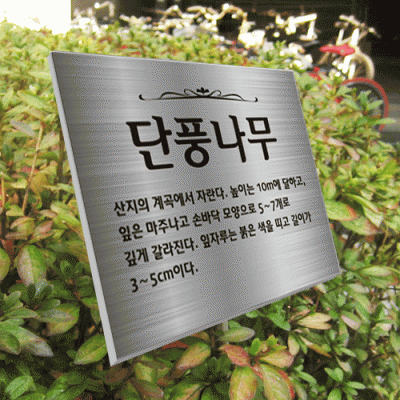 수목-스텐절곡꽂이-ST5