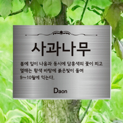 수목-걸이-ST10