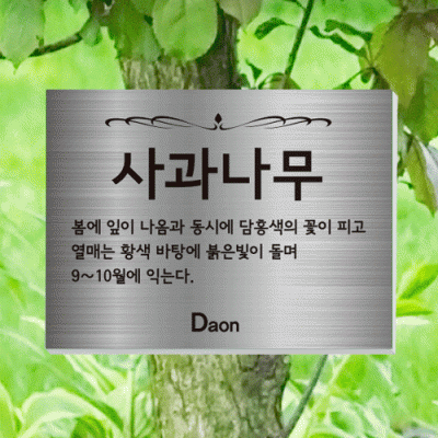 수목-걸이-ST9