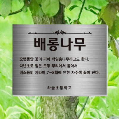 수목-걸이-ST4
