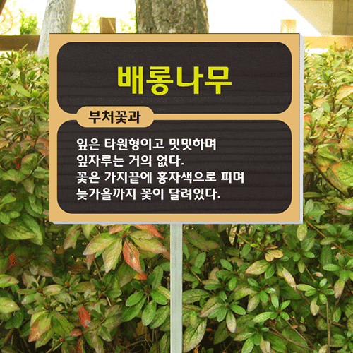 수목-알루미늄꽂이-A49~52