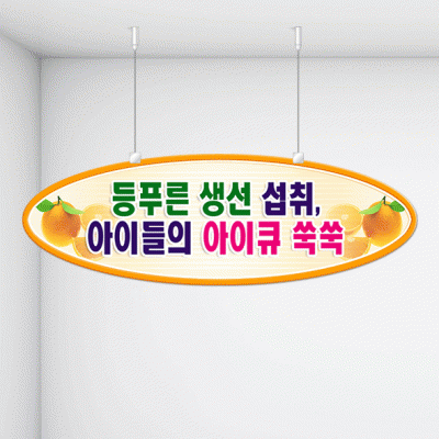 천정행거B02-3