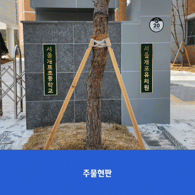 서울개포초
